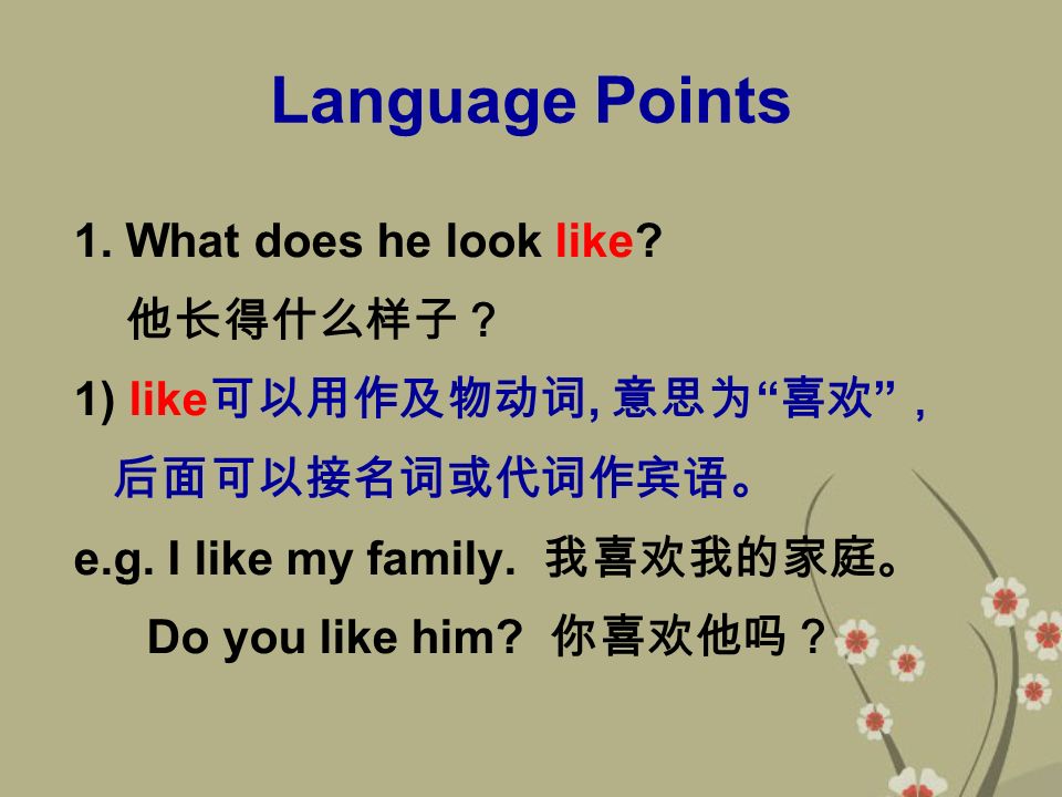 Language Points 1. What does he look like.