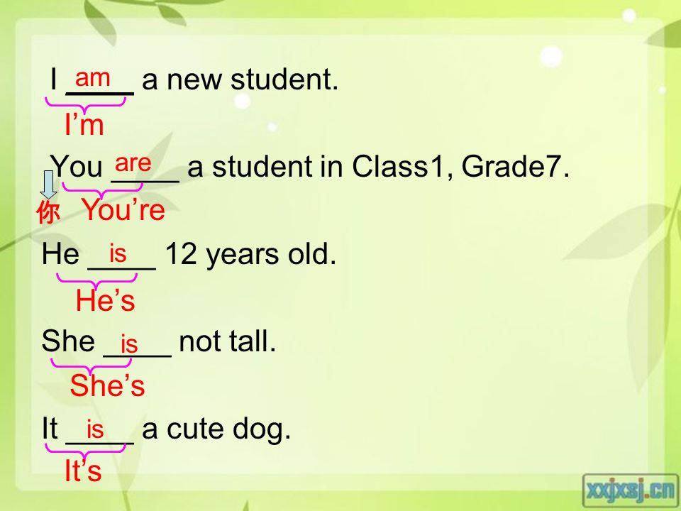 I ____ a new student. You ____ a student in Class1, Grade7.