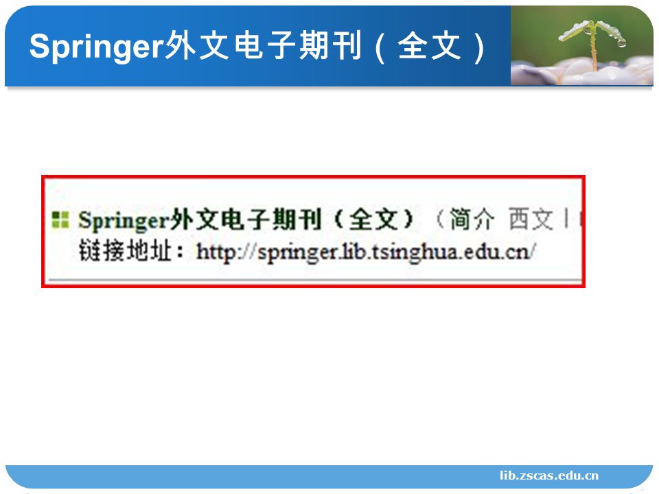 Springer 外文电子期刊（全文） lib.zscas.edu.cn