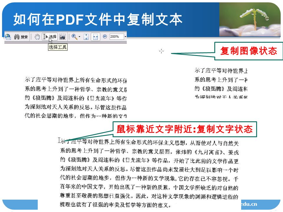 如何在 PDF 文件中复制文本 lib.zscas.edu.cn 复制图像状态 鼠标靠近文字附近 : 复制文字状态