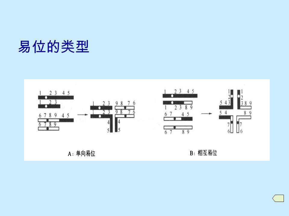 易位的产生和类型  易位的类别 插入易位 单向易位 相互易位  易位的形成  易位染色体的表示方法  相关术语 易位染色体 易位杂合体 (translocation heterozygote) 易位纯合体 (translocation homozygote)