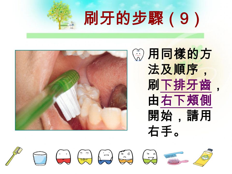 刷牙的步驟（ 8 ） 刷右上咬合面。 到此刷牙是 由右邊開 始。也在右 邊結束。