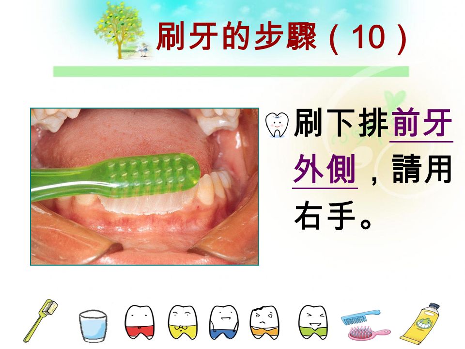 刷牙的步驟（ 9 ） 用同樣的方 法及順序， 刷下排牙齒， 由右下頰側 開始，請用 右手。