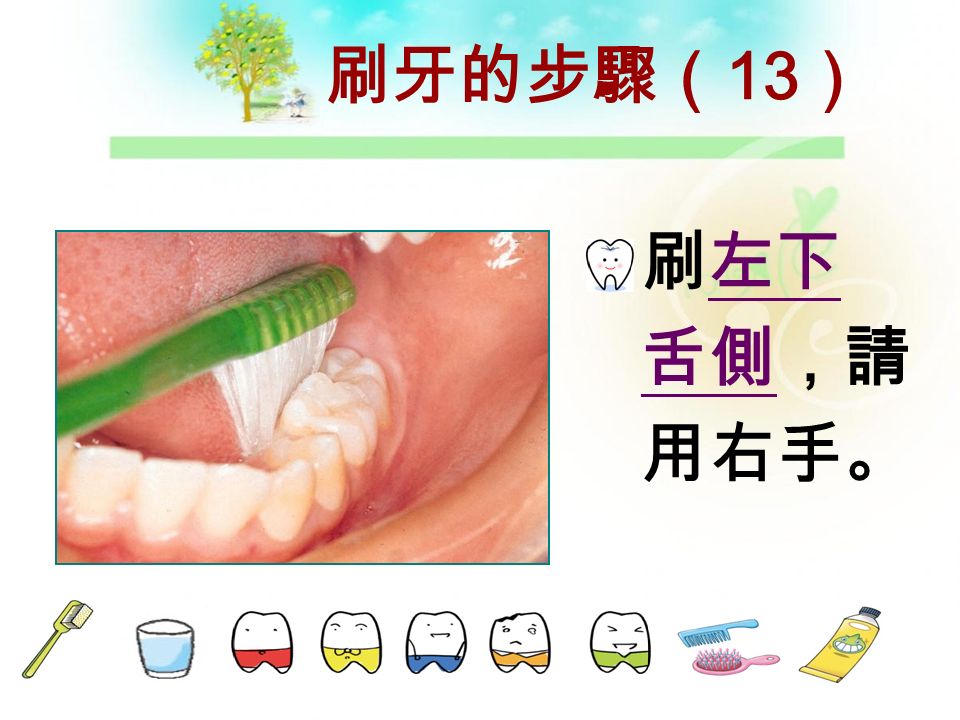 刷牙的步驟（ 12 ） 刷左下咬 合面， 請用左手。