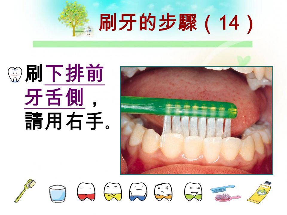 刷牙的步驟（ 13 ） 刷左下 舌側，請 用右手。