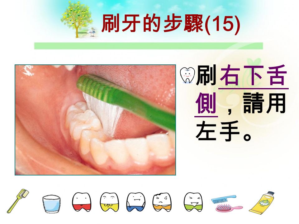 刷牙的步驟（ 14 ） 刷下排前 牙舌側， 請用右手 。