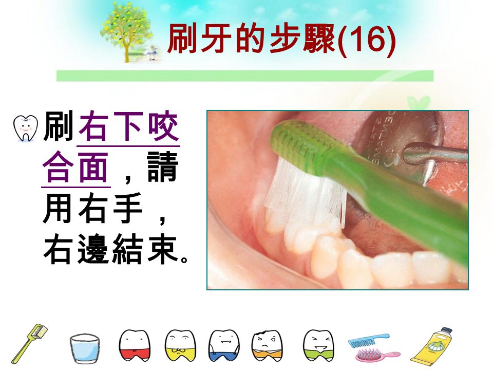 刷牙的步驟 (15) 刷右下舌 側，請用 左手。