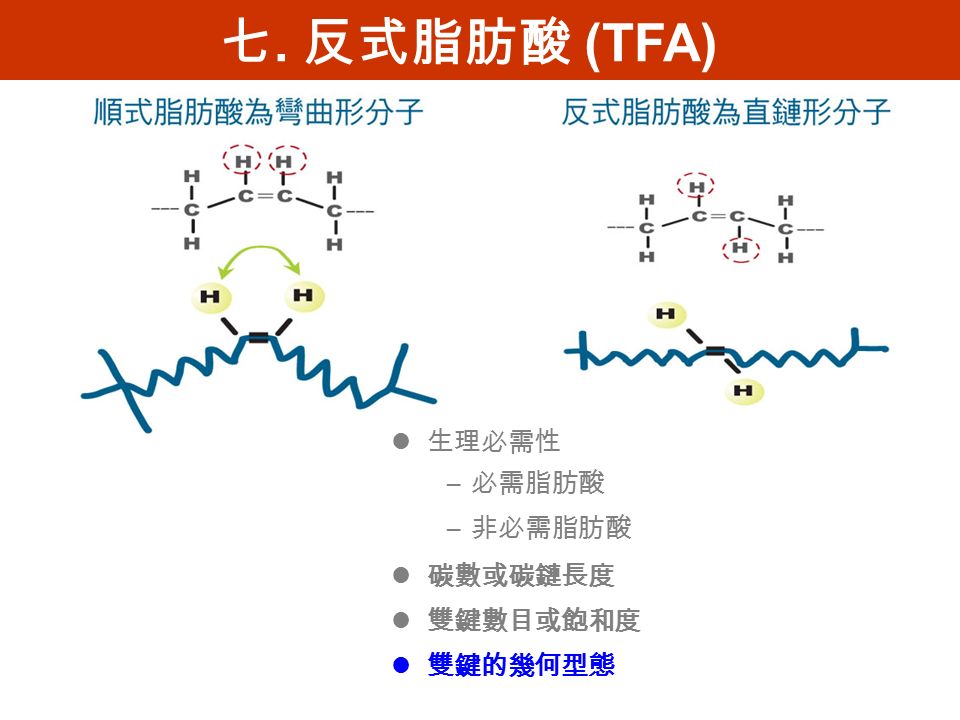 七. 反式脂肪酸 (TFA) 生理必需性 – 必需脂肪酸 – 非必需脂肪酸 碳數或碳鏈長度 雙鍵數目或飽和度 雙鍵的幾何型態