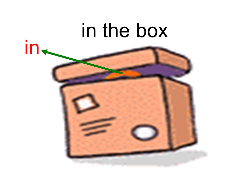 in in the box