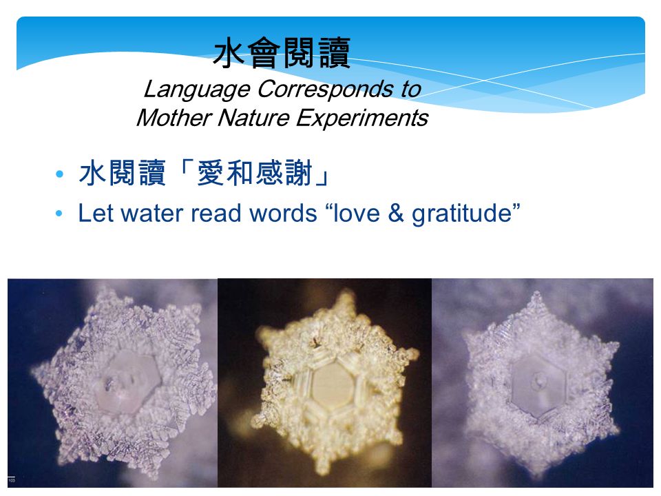 水會閱讀 Language Corresponds to Mother Nature Experiments 水閱讀「愛和感謝」 Let water read words love & gratitude
