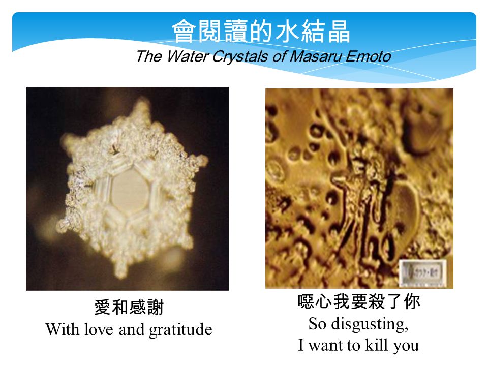 愛和感謝 With love and gratitude 噁心我要殺了你 So disgusting, I want to kill you 會閱讀的水結晶 The Water Crystals of Masaru Emoto