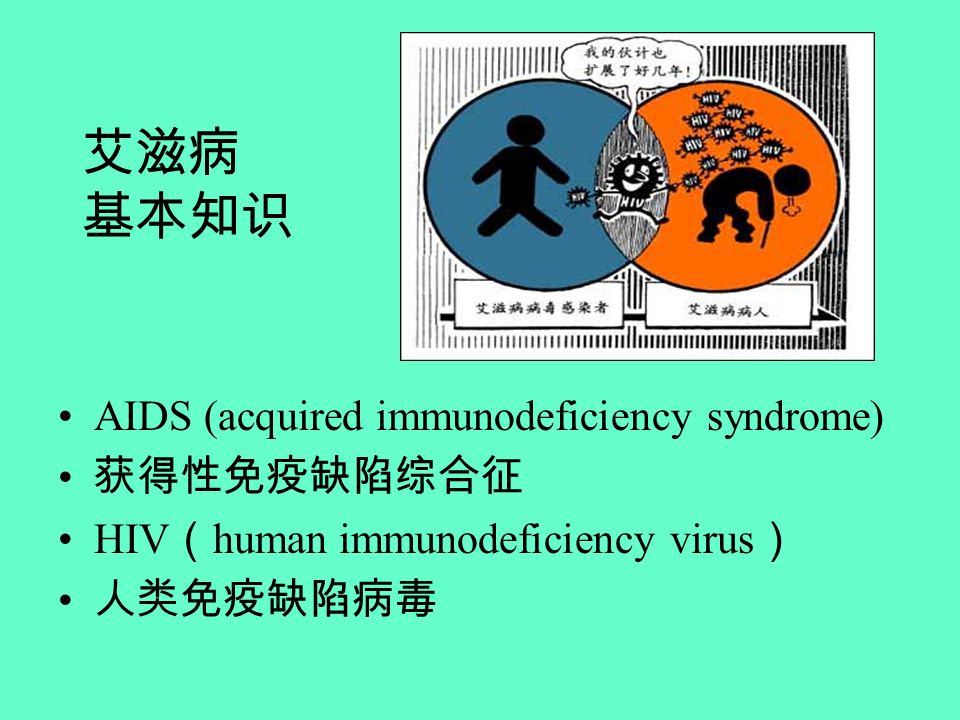 艾滋病 基本知识 AIDS (acquired immunodeficiency syndrome) 获得性免疫缺陷综合征 HIV （ human immunodeficiency virus ） 人类免疫缺陷病毒