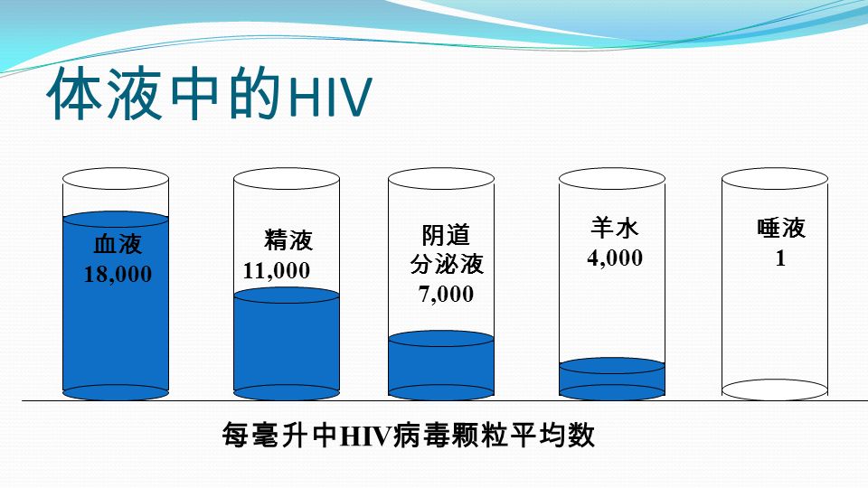 体液中的 HIV 精液 11,000 阴道 分泌液 7,000 血液 18,000 羊水 4,000 唾液 1 每毫升中 HIV 病毒颗粒平均数