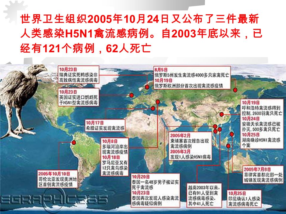 1997 年 5 月，我国香港特别行政区 1 例 3 岁儿童死 于不明原因的多器官功能衰竭，同年 8 月经美国疾 病预防和控制中心以及 WHO 荷兰鹿特丹国家流感 中心鉴定为禽甲型流感病毒 H5N1 引起的人类流感。 这是世界上首次证实甲型 H5N1 亚型禽流感病毒 感染人类因而引起人禽流行性感冒的病例，受到广 泛关注。