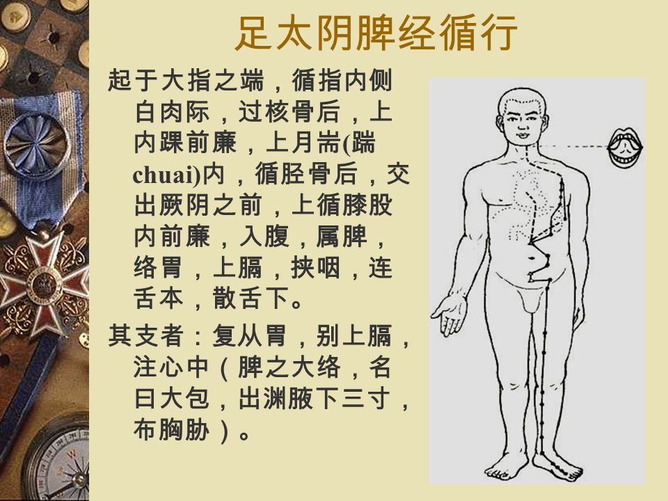 足太阴脾经 (the Spleen Meridian of Foot-Taiyin, SP)  经脉循行  病候  腧穴