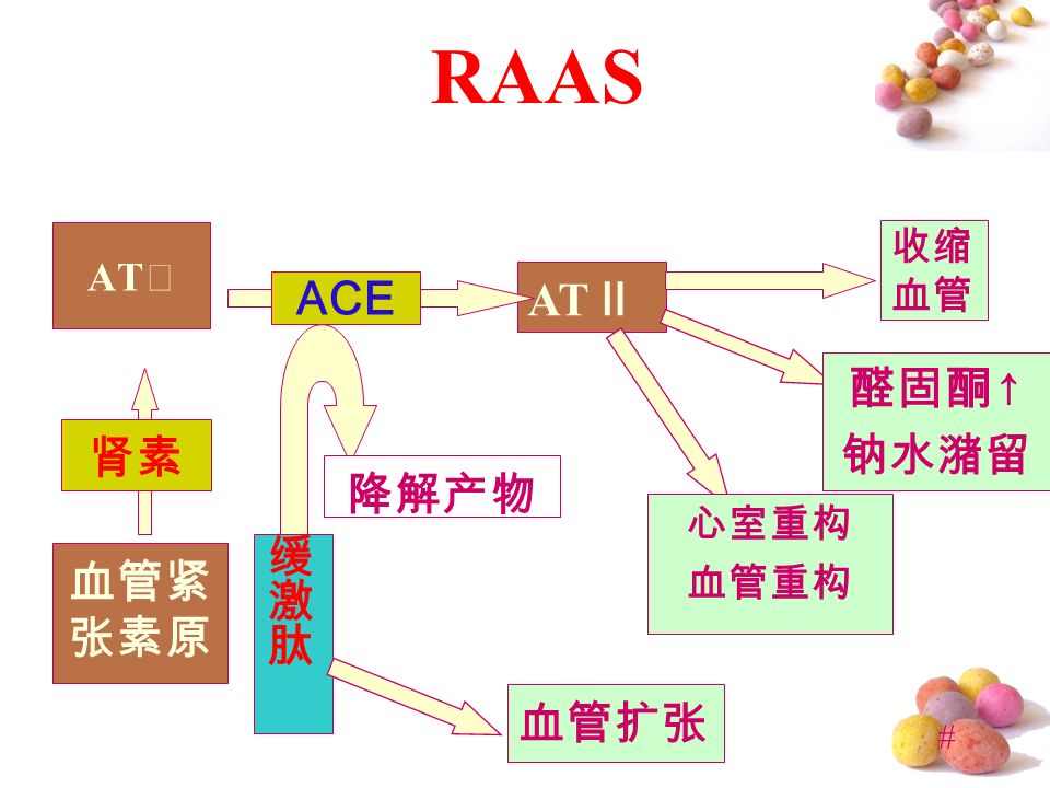 # RAAS AT Ⅰ AT Ⅱ ACE 收缩 血管 醛固酮 ↑ 钠水潴留 心室重构 血管重构 血管紧 张素原 肾素 降解产物 血管扩张