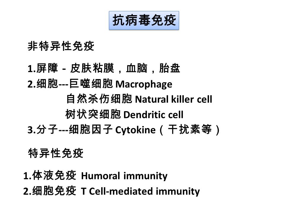 抗病毒免疫 非特异性免疫 1. 屏障－皮肤粘膜，血脑，胎盘 2.