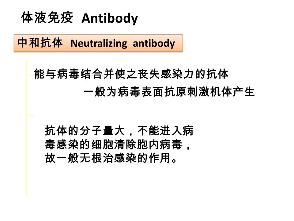 Antibody 能与病毒结合并使之丧失感染力的抗体 一般为病毒表面抗原刺激机体产生 中和抗体 Neutralizing antibody 体液免疫 抗体的分子量大，不能进入病 毒感染的细胞清除胞内病毒， 故一般无根治感染的作用。
