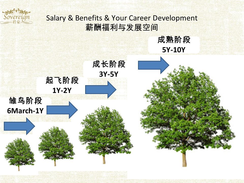 Salary & Benefits & Your Career Development 薪酬福利与发展空间 雏鸟阶段 6March-1Y 起飞阶段 1Y-2Y 成长阶段 3Y-5Y 成熟阶段 5Y-10Y