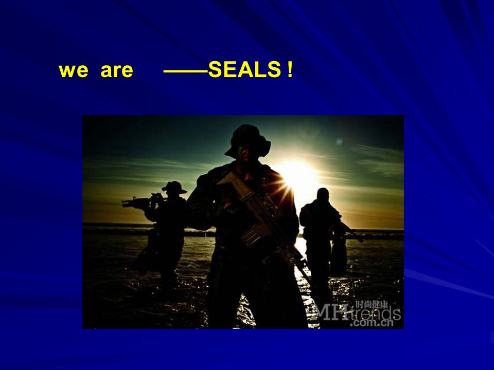 we are ——SEALS !