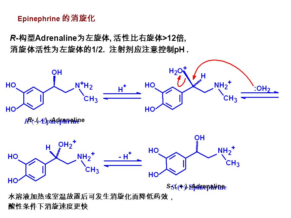 Epinephrine 的消旋化 R- 构型 Adrenaline 为左旋体, 活性比右旋体 >12 倍, 消旋体活性为左旋体的 1/2.