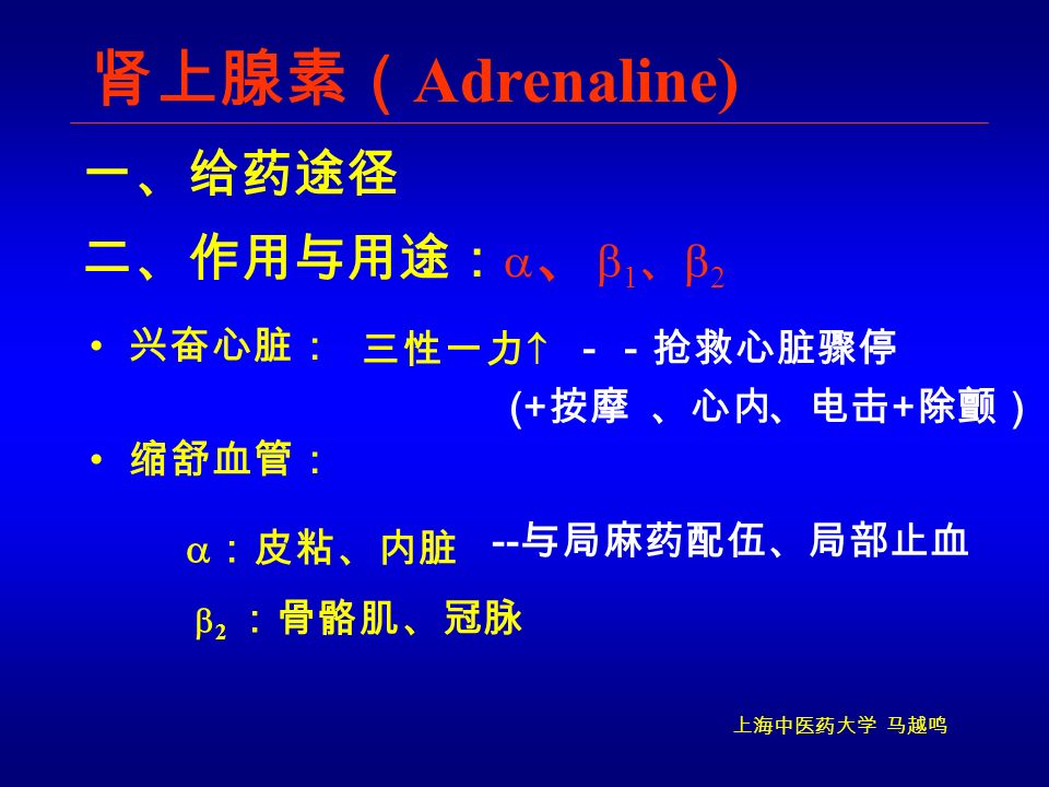 上海中医药大学 马越鸣 一、给药途径 肾上腺素（ Adrenaline) 兴奋心脏： －－抢救心脏骤停  ：皮粘、内脏 -- 与局麻药配伍、局部止血 二、作用与用途：  、  1 、  2 三性一力  (+ 按摩、心内、电击 + 除颤）  2 ：骨骼肌、冠脉 缩舒血管：