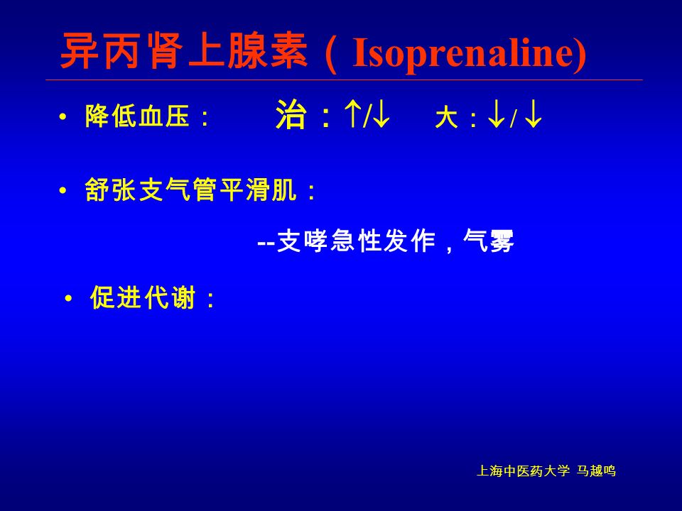 上海中医药大学 马越鸣 异丙肾上腺素（ Isoprenaline) 降低血压： -- 支哮急性发作，气雾 治：  /  舒张支气管平滑肌： 大：  /  促进代谢：