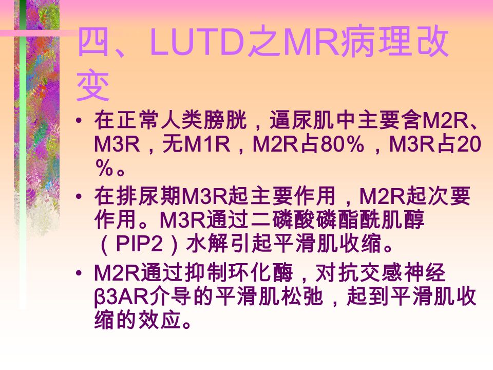 四、 LUTD 之 MR 病理改 变 在正常人类膀胱，逼尿肌中主要含 M2R 、 M3R ，无 M1R ， M2R 占 80 ％， M3R 占 20 ％。 在排尿期 M3R 起主要作用， M2R 起次要 作用。 M3R 通过二磷酸磷酯酰肌醇 （ PIP2 ）水解引起平滑肌收缩。 M2R 通过抑制环化酶，对抗交感神经 β3AR 介导的平滑肌松弛，起到平滑肌收 缩的效应。