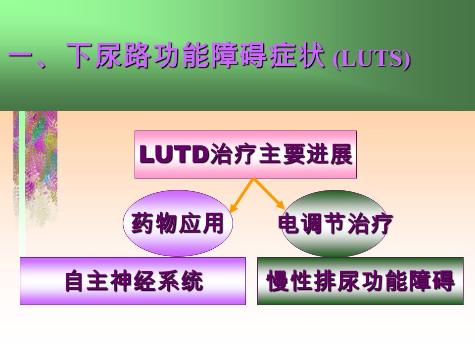 一、下尿路功能障碍症状 (LUTS) LUTD 治疗主要进展 药物应用电调节治疗 自主神经系统慢性排尿功能障碍