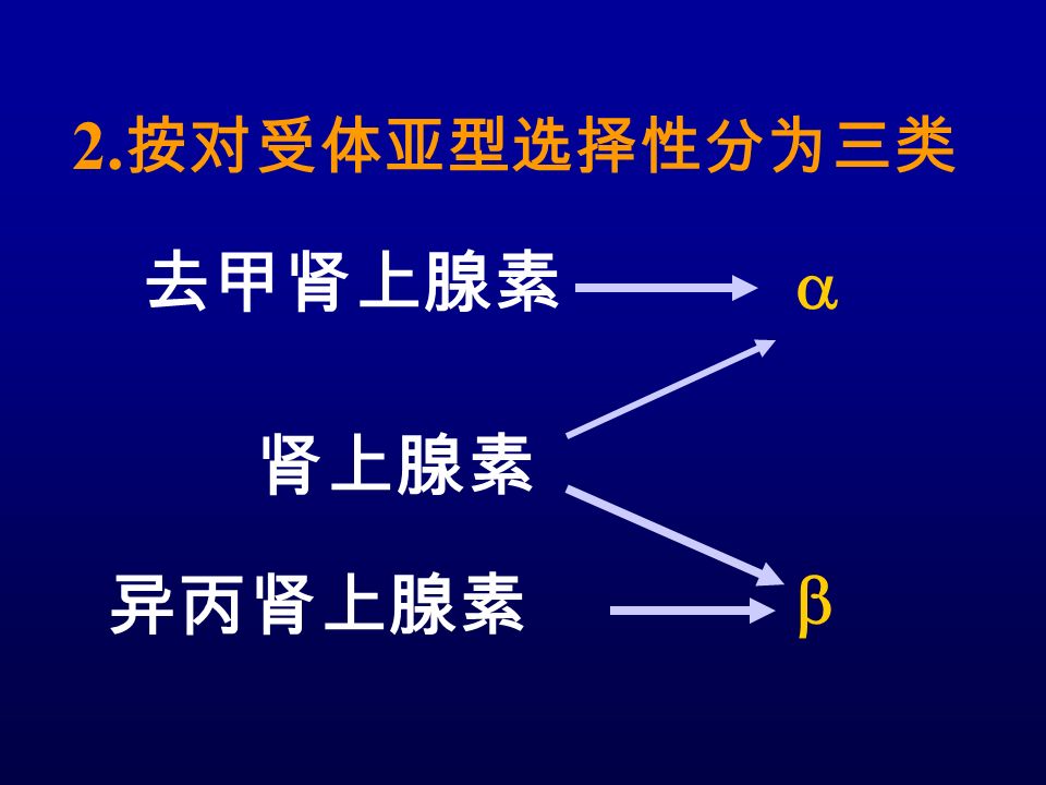 2. 按对受体亚型选择性分为三类 去甲肾上腺素 肾上腺素 异丙肾上腺素  