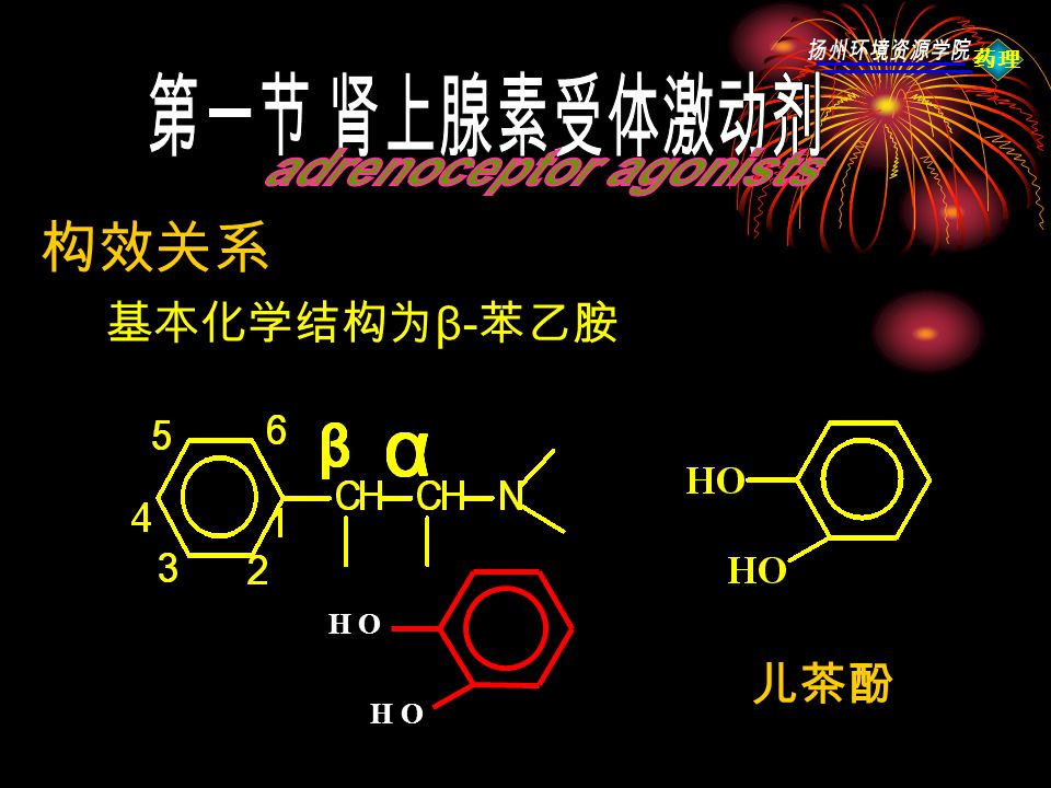 药理 构效关系 基本化学结构为 β- 苯乙胺 儿茶酚 HO HO