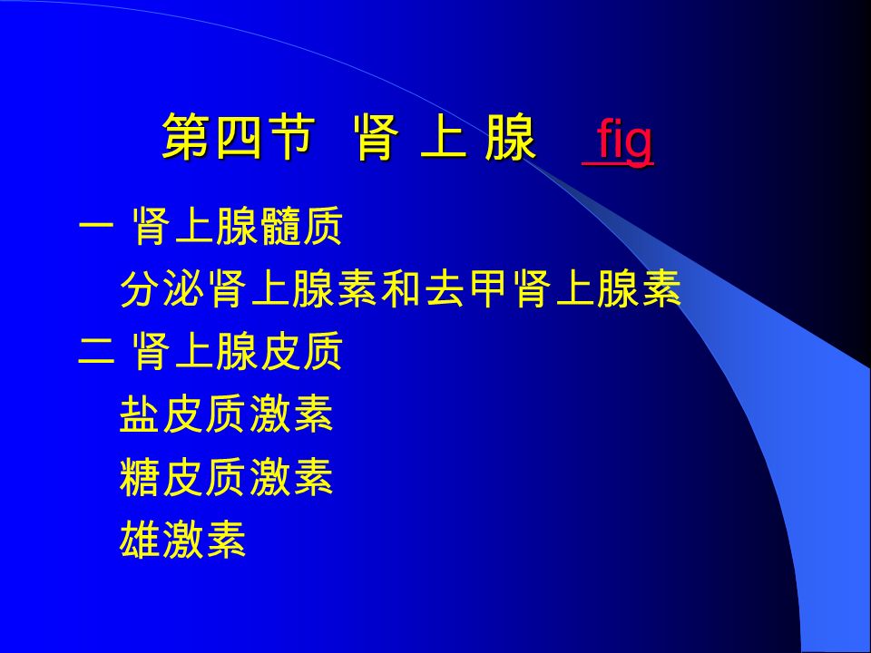第四节 肾 上 腺 fig fig fig 一 肾上腺髓质 分泌肾上腺素和去甲肾上腺素 二 肾上腺皮质 盐皮质激素 糖皮质激素 雄激素