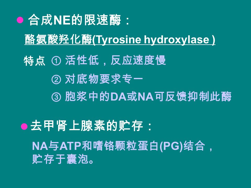 合成 NE 的限速酶： 酪氨酸羟化酶 (Tyrosine hydroxylase ) NA 与 ATP 和嗜铬颗粒蛋白 (PG) 结合， 贮存于囊泡。 ① 活性低，反应速度慢 ② 对底物要求专一 ③ 胞浆中的 DA 或 NA 可反馈抑制此酶 去甲肾上腺素的贮存： 特点