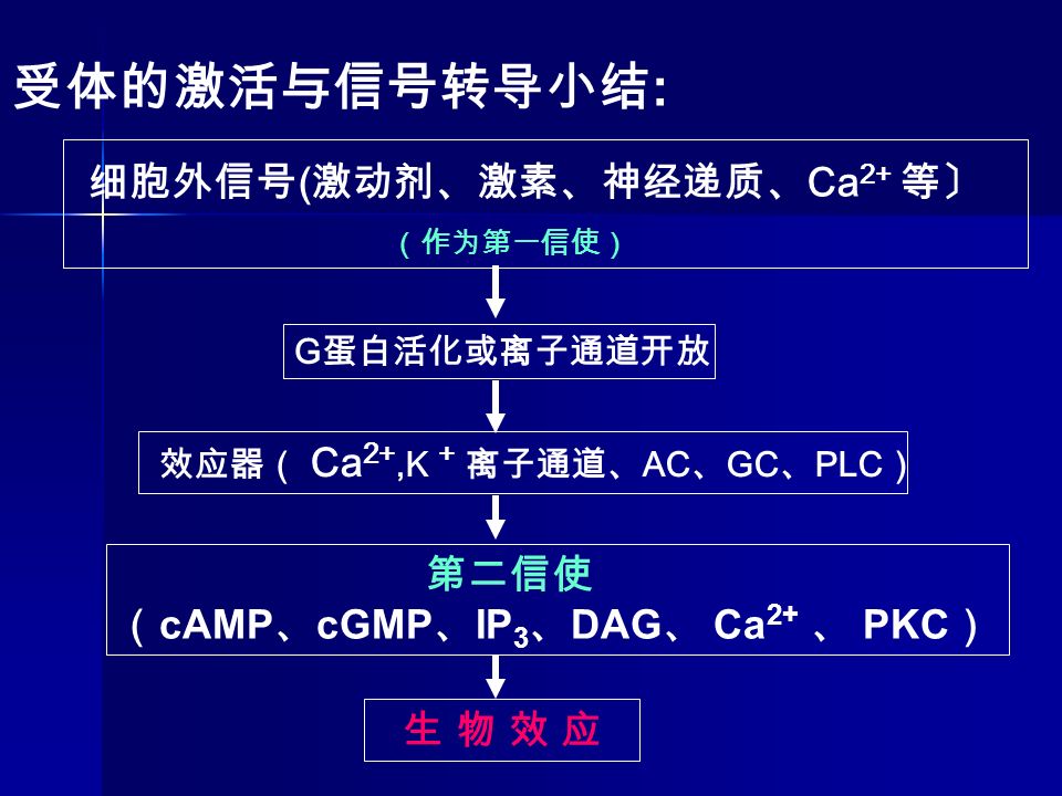 细胞外信号 ( 激动剂、激素、神经递质、 Ca 2+ 等〕 （作为第一信使） G 蛋白活化或离子通道开放 效应器（ Ca 2+,K + 离子通道、 AC 、 GC 、 PLC ） 受体的激活与信号转导小结 : 第二信使 （ cAMP 、 cGMP 、 IP 3 、 DAG 、 Ca 2+ 、 PKC ） 生 物 效 应生 物 效 应