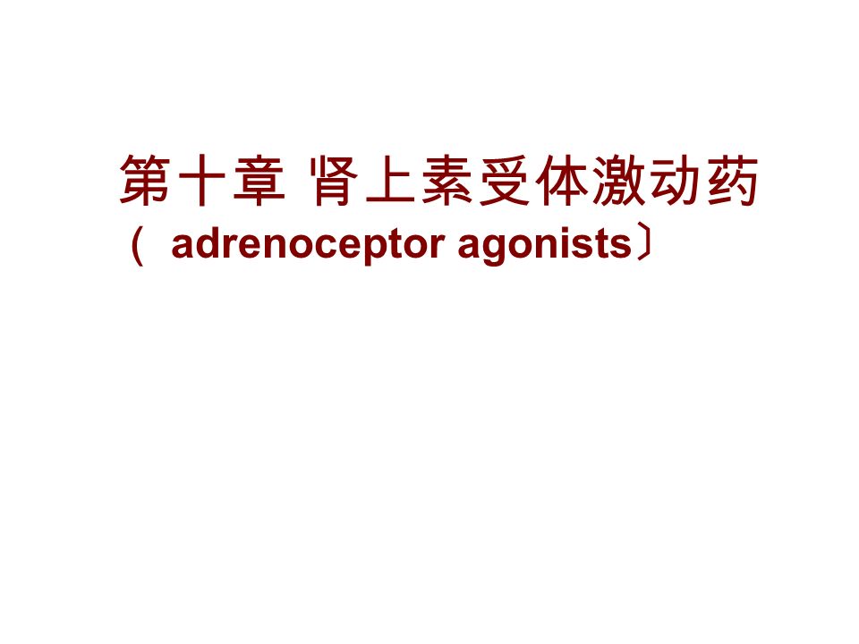 第十章 肾上素受体激动药 （ adrenoceptor agonists 〕