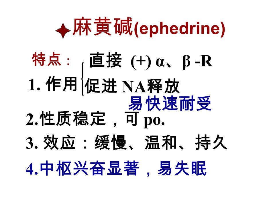麻黄碱 (ephedrine) 特点 ： 1. 作用 直接 (+) α 、 β -R 促进 NA 释放 易快速耐受 2.