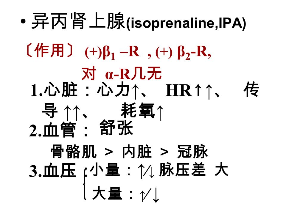 异丙肾上腺 (isoprenaline,IPA) 〔作用〕 (+) β 1 –R, (+) β 2 -R, 对 α-R 几无 1.
