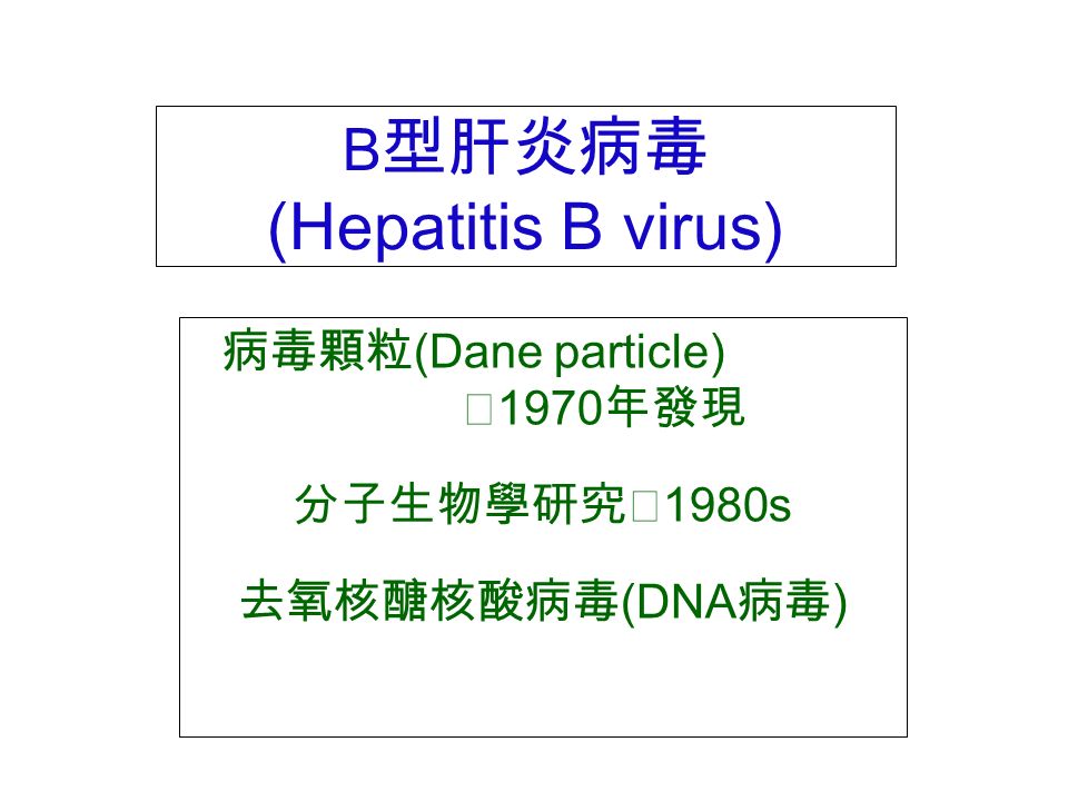 B 型肝炎病毒 (Hepatitis B virus) 病毒顆粒 (Dane particle)  1970 年發現 分子生物學研究  1980s 去氧核醣核酸病毒 (DNA 病毒 )