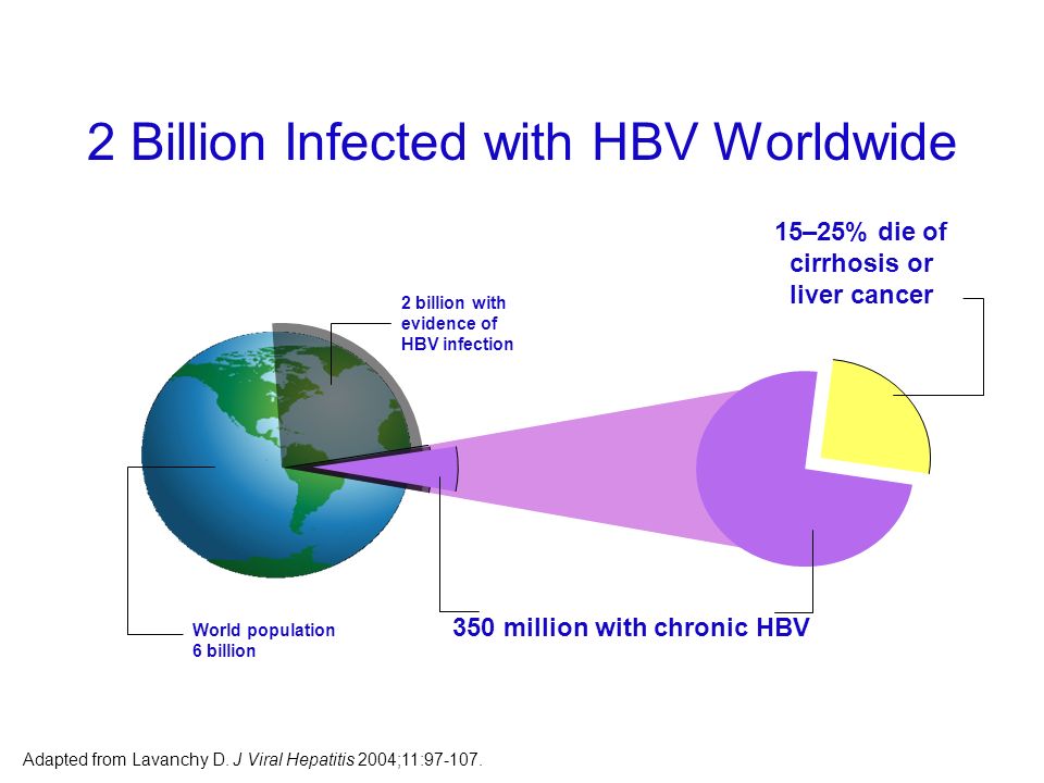 2 Billion Infected with HBV Worldwide 15–25% die of cirrhosis or liver cancer World population 6 billion 2 billion with evidence of HBV infection 350 million with chronic HBV Adapted from Lavanchy D.