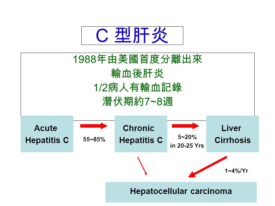 C 型肝炎 1988 年由美國首度分離出來 輸血後肝炎 1/2 病人有輸血記錄 潛伏期約 7~8 週 Acute Hepatitis C Chronic Hepatitis C Liver Cirrhosis 55~85% 5~20% in Yrs Hepatocellular carcinoma 1~4%/Yr