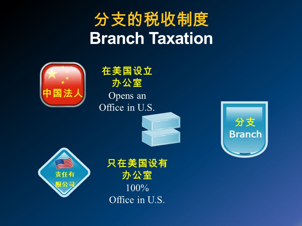 分支的税收制度 Branch Taxation 分支 Branch 中国法人 在美国设立 办公室 Opens an Office in U.S.