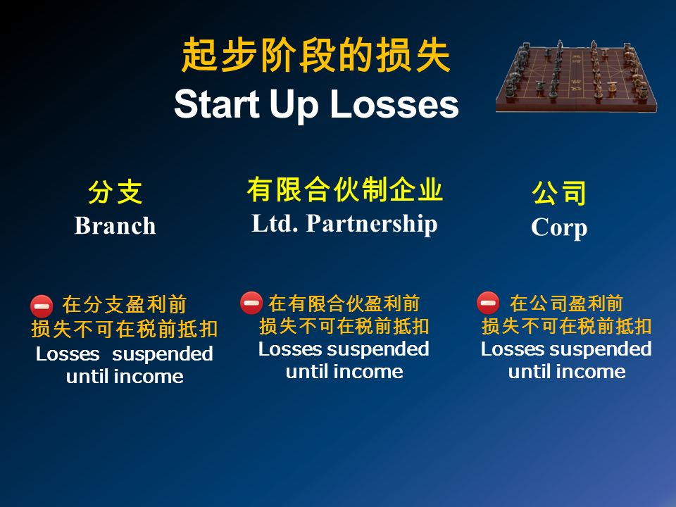 起步阶段的损失 Start Up Losses 分支 Branch 有限合伙制企业 Ltd.