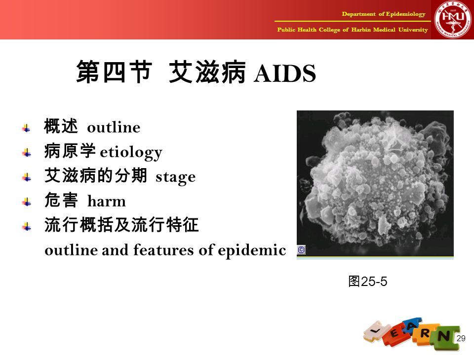 Department of Epidemiology Public Health College of Harbin Medical University 29 第四节 艾滋病 AIDS 概述 outline 病原学 etiology 艾滋病的分期 stage 危害 harm 流行概括及流行特征 outline and features of epidemic 图 25-5