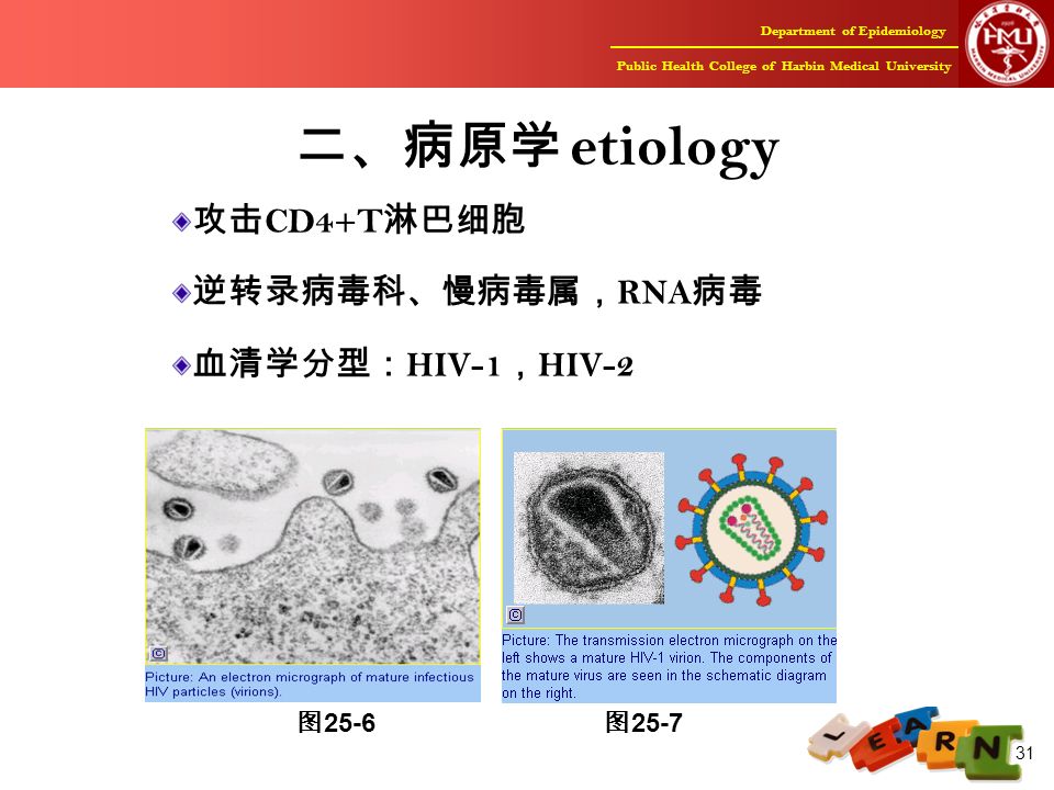 Department of Epidemiology Public Health College of Harbin Medical University 31 二、病原学 etiology 攻击 CD4+T 淋巴细胞 逆转录病毒科、慢病毒属， RNA 病毒 血清学分型： HIV-1 ， HIV-2 图 25-6 图 25-7