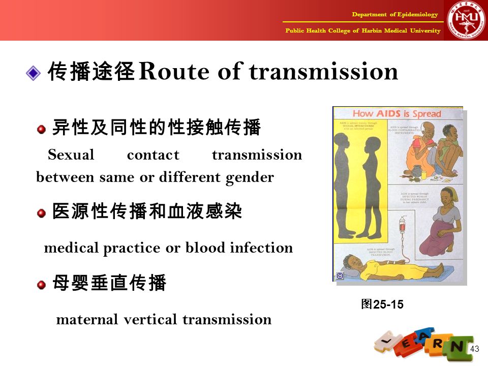 Department of Epidemiology Public Health College of Harbin Medical University 43 传播途径 Route of transmission 异性及同性的性接触传播 Sexual contact transmission between same or different gender 医源性传播和血液感染 medical practice or blood infection 母婴垂直传播 maternal vertical transmission 图 25-15