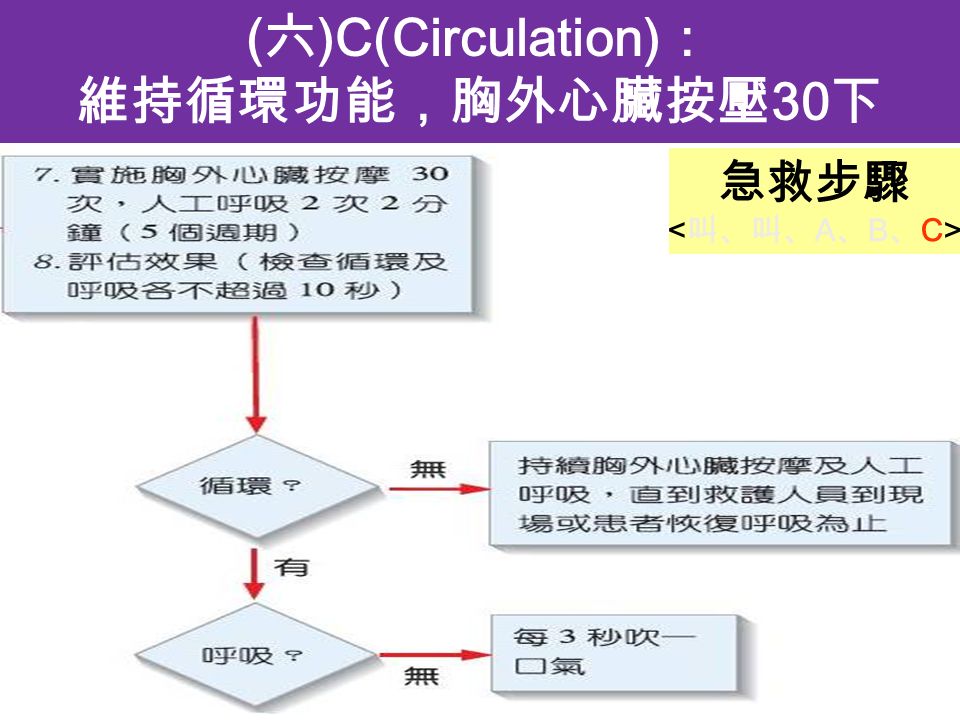 ( 六 )C(Circulation) ： 維持循環功能，胸外心臟按壓 30 下 急救步驟