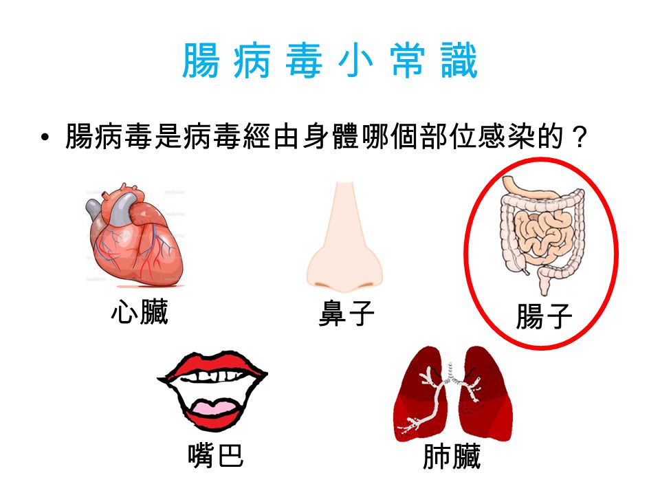 腸 病 毒 小 常 識腸 病 毒 小 常 識 腸病毒是病毒經由身體哪個部位感染的？ 心臟 鼻子 腸子 嘴巴 肺臟