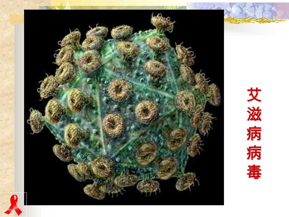 什么是艾滋病？ 艾滋病的中文全称是 获得性免 疫缺陷综合症 ，它是由艾滋病病毒 （ HIV ）引起的一种传染病。 艾滋病的中文全称是 获得性免 疫缺陷综合症 ，它是由艾滋病病毒 （ HIV ）引起的一种传染病。