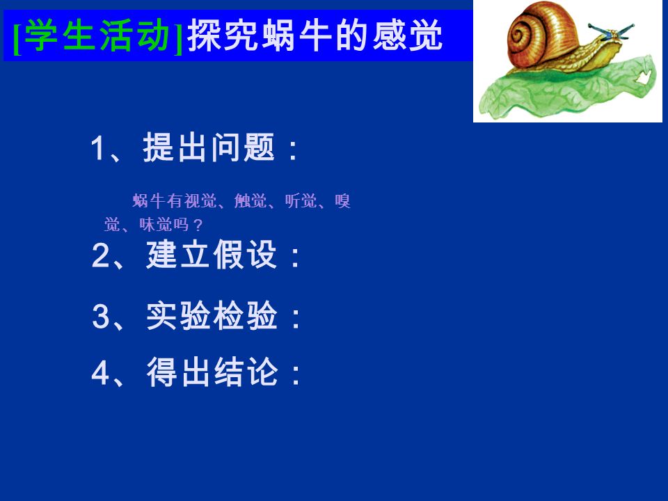 蜗牛有视觉、触觉、听觉、嗅 觉、味觉吗？ [ 学生活动 ] 探究蜗牛的感觉 2 、建立假设： 3 、实验检验： 4 、得出结论： 1 、提出问题：