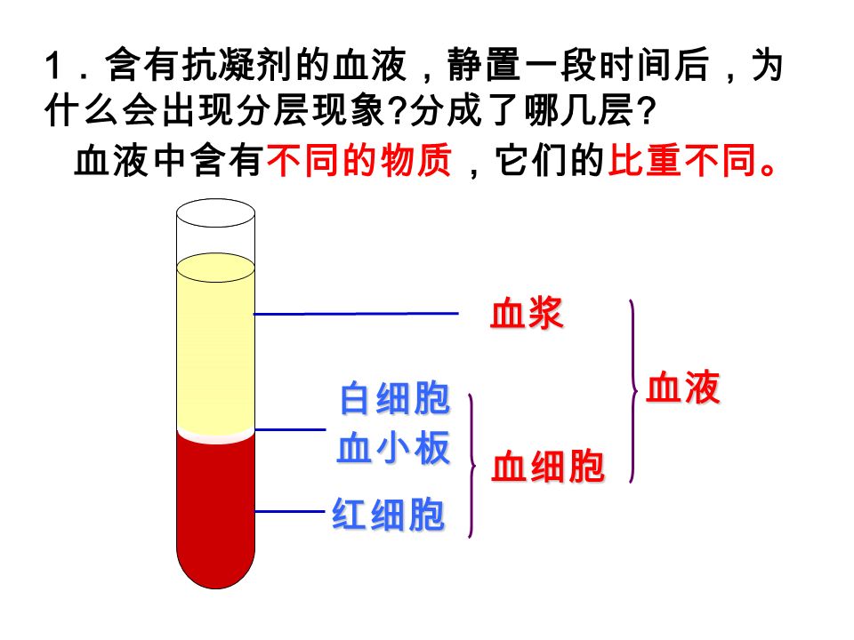 血浆 白细胞血小板 血细胞 红细胞 血液 1 ．含有抗凝剂的血液，静置一段时间后，为 什么会出现分层现象 分成了哪几层 血液中含有不同的物质，它们的比重不同。
